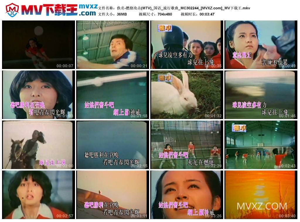 佚名-燃烧攻击(MTV)_国语_流行歌曲_MC302244